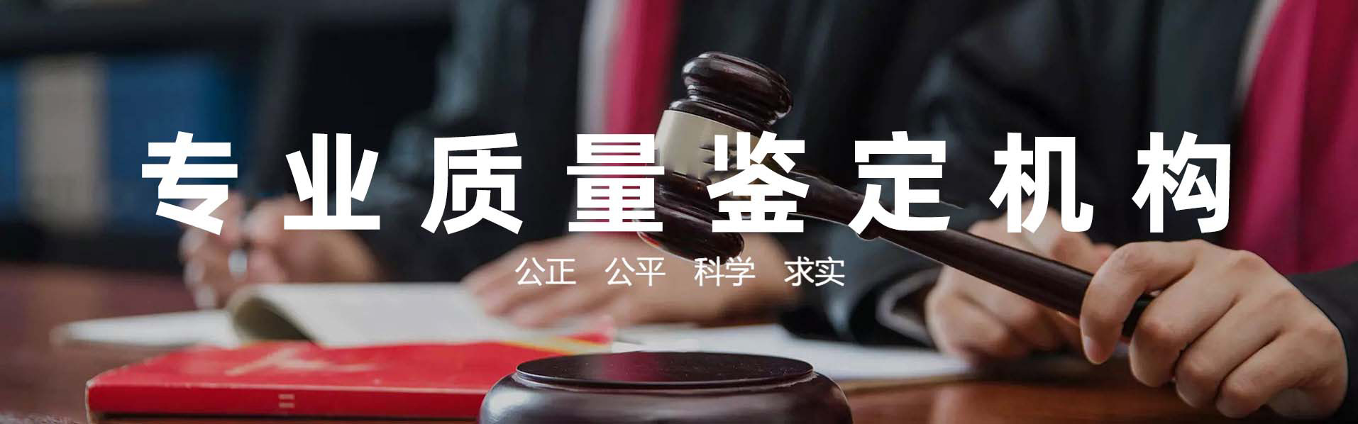 專家信息
